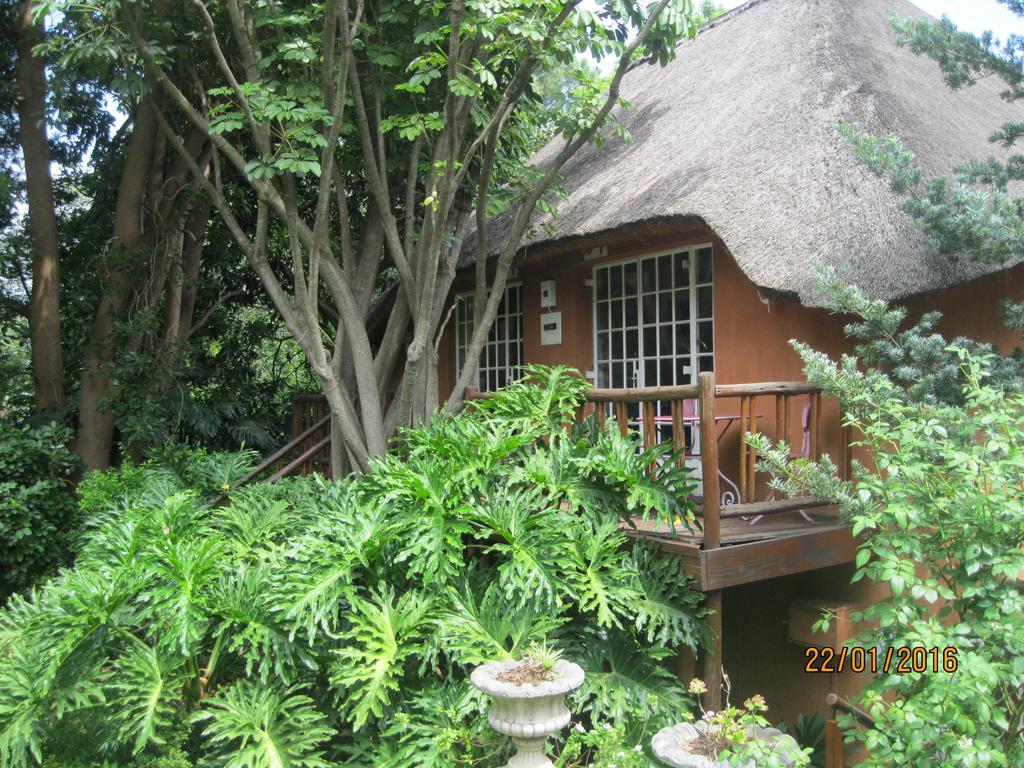 Treetops & Treats Guest House Претория Екстериор снимка