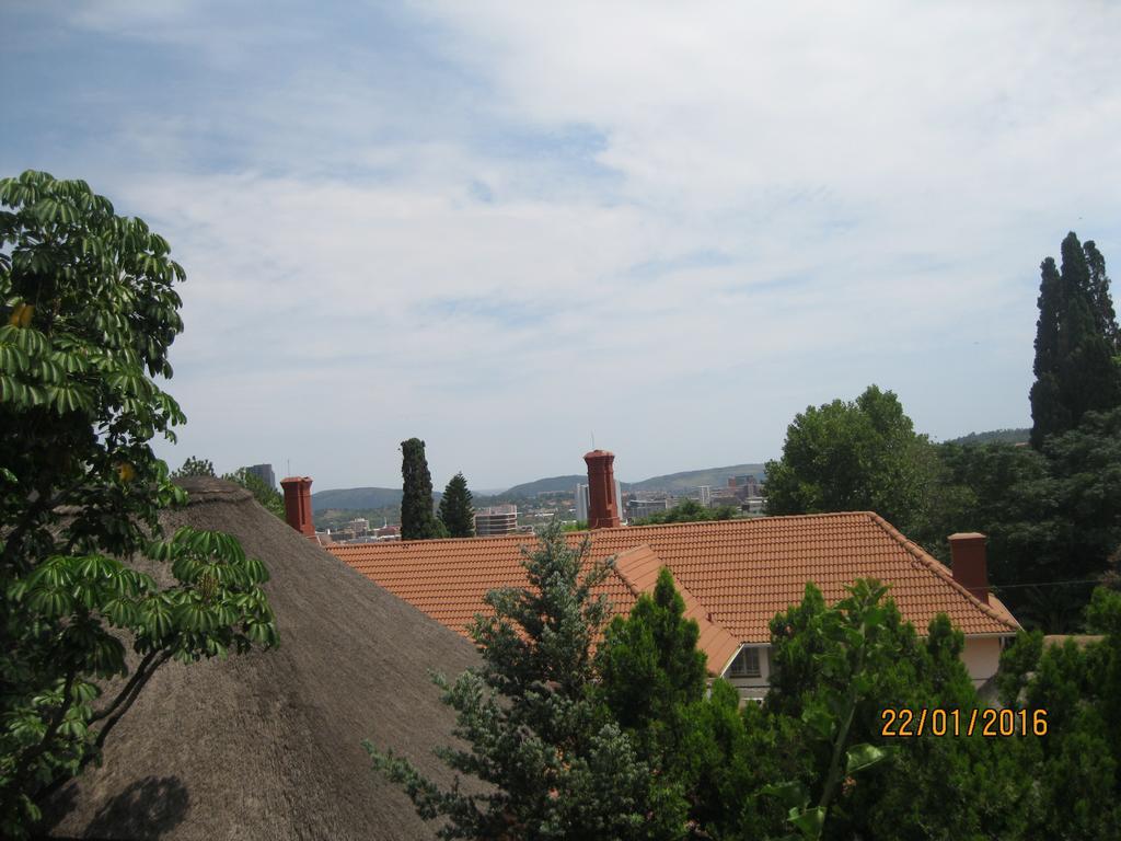 Treetops & Treats Guest House Претория Екстериор снимка