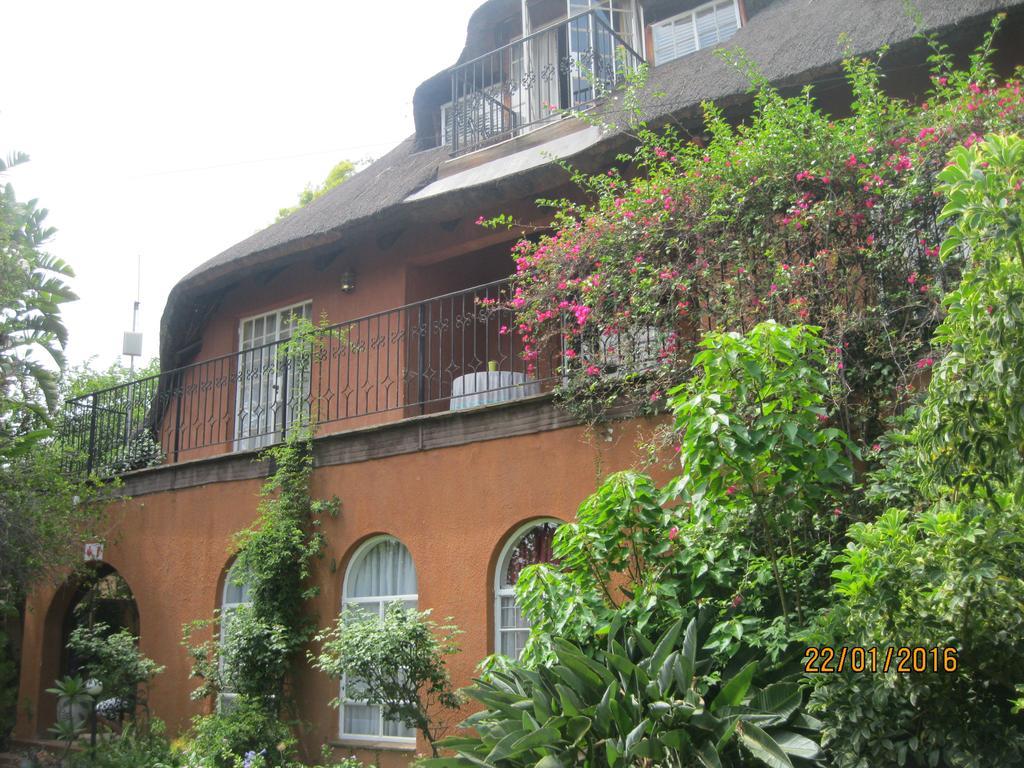 Treetops & Treats Guest House Претория Екстериор снимка