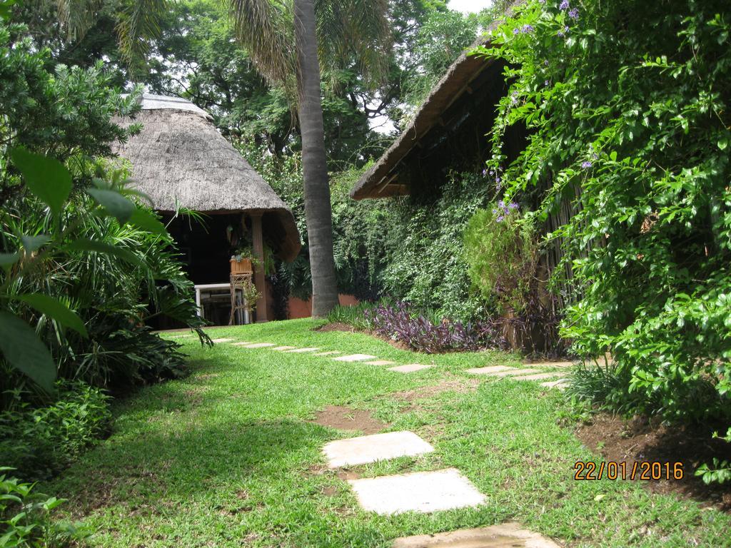 Treetops & Treats Guest House Претория Екстериор снимка