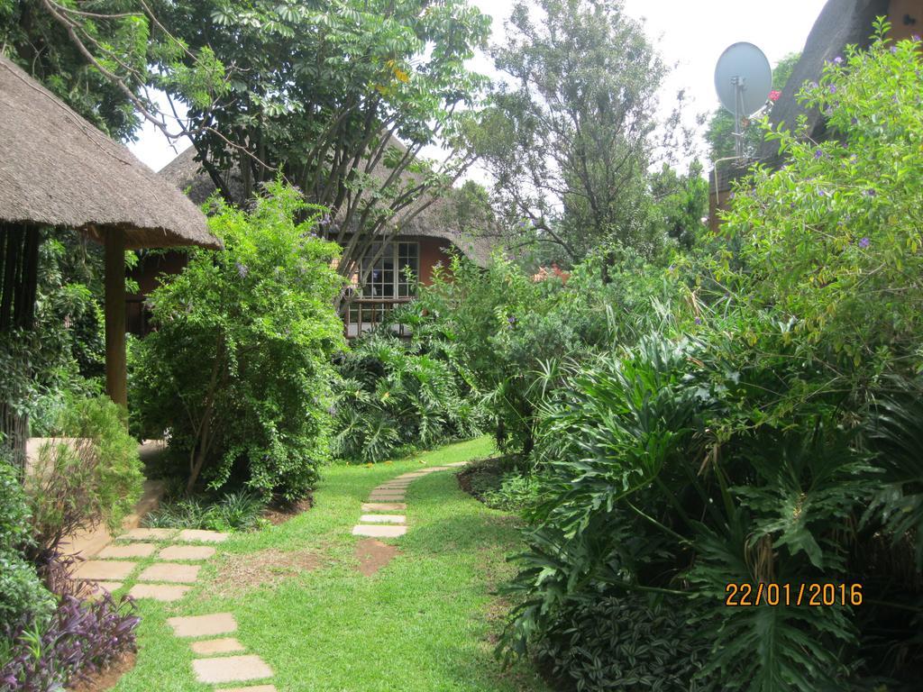 Treetops & Treats Guest House Претория Екстериор снимка