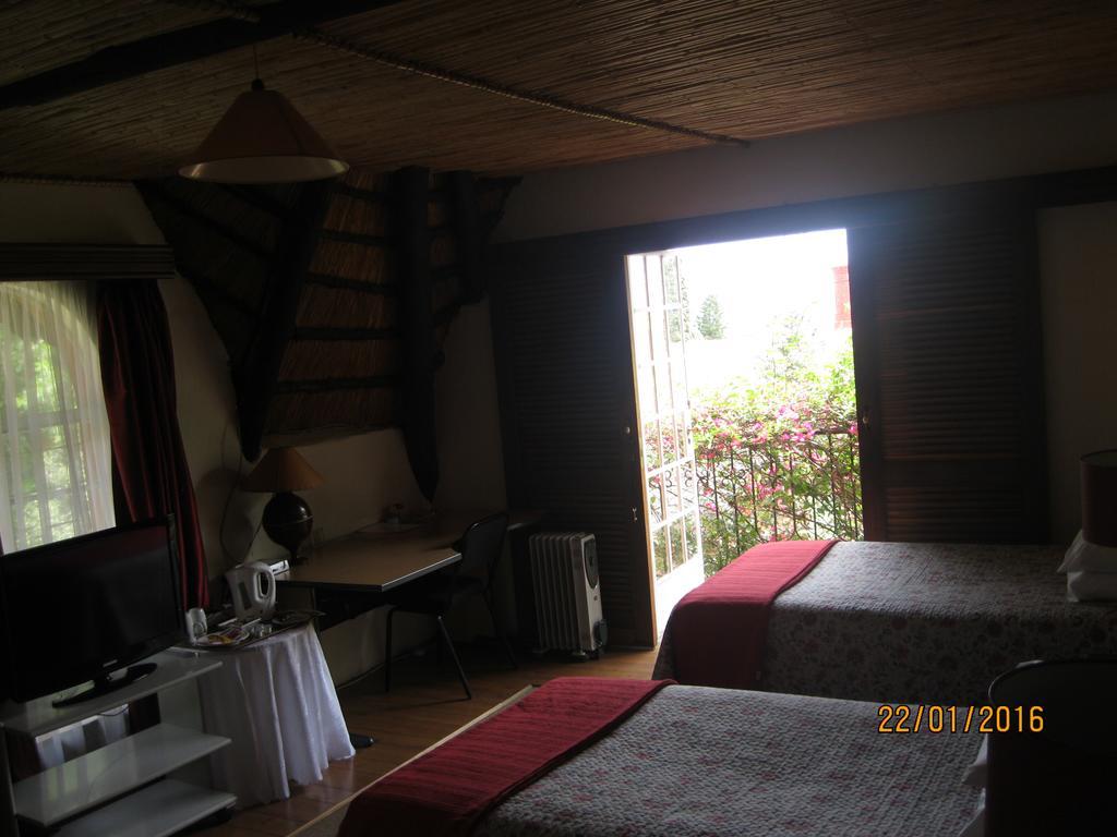 Treetops & Treats Guest House Претория Екстериор снимка