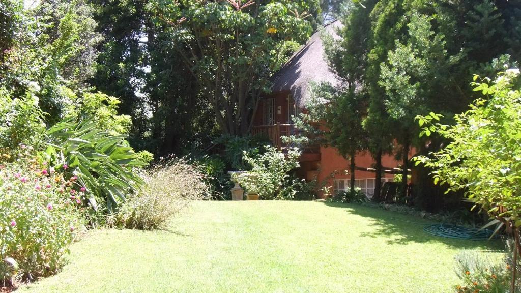 Treetops & Treats Guest House Претория Екстериор снимка