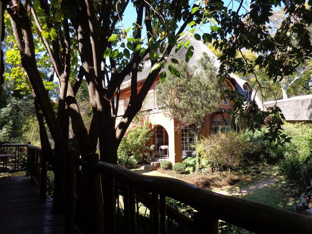 Treetops & Treats Guest House Претория Екстериор снимка