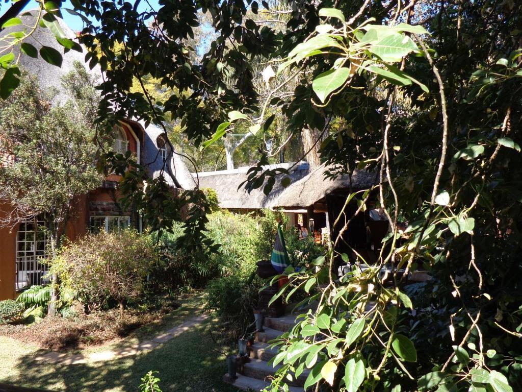 Treetops & Treats Guest House Претория Стая снимка