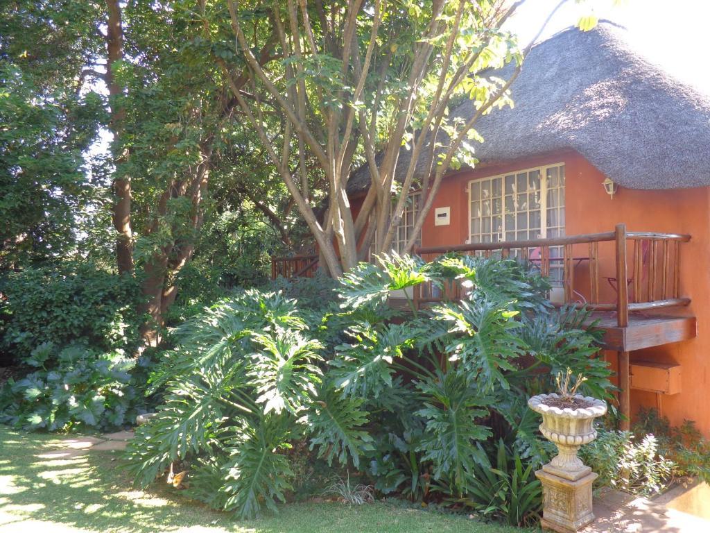 Treetops & Treats Guest House Претория Екстериор снимка